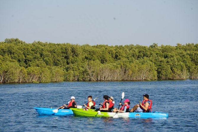 Mangrove Kayaking in Abu Dhabi